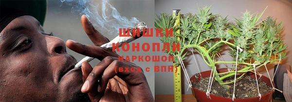 spice Аркадак