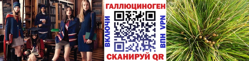 blacksprut ONION  Нурлат  Галлюциногенные грибы прущие грибы 